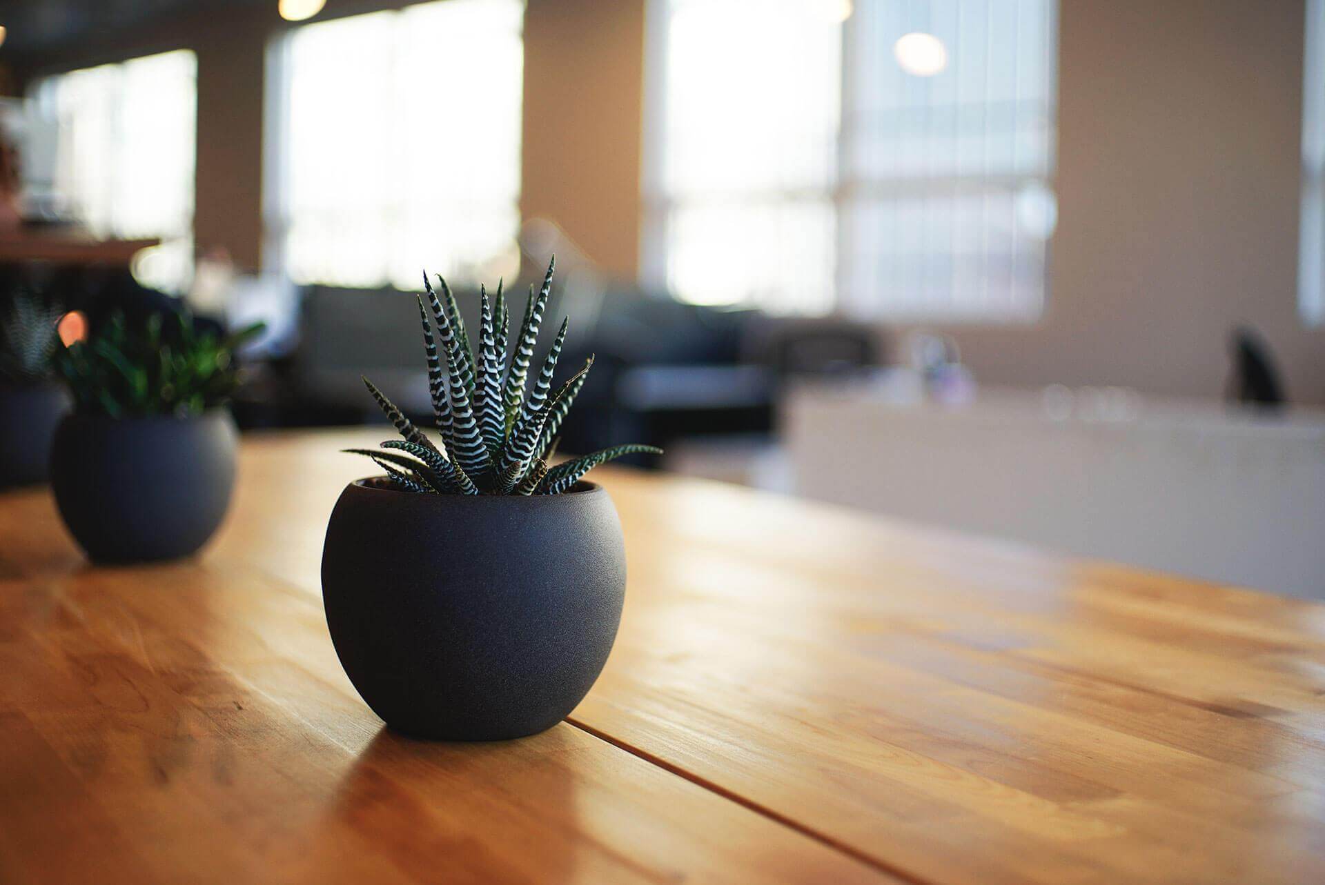 HR Desk Plant background image