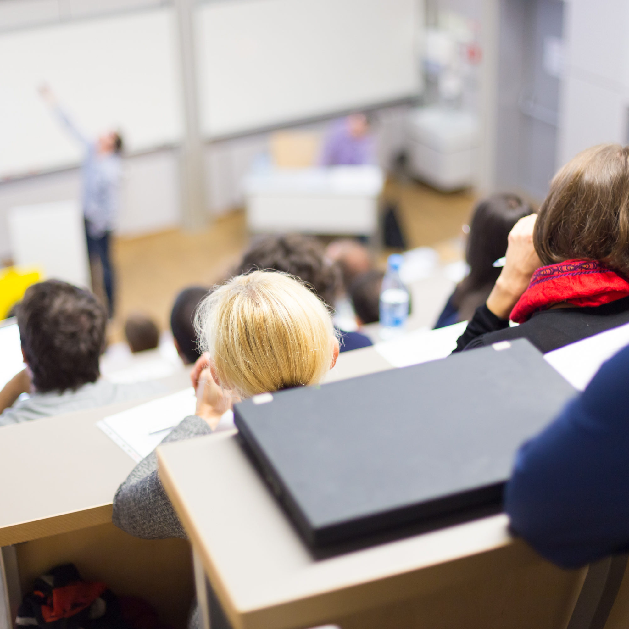 What are Human Resources Degree Requirements and the Core Courses in a