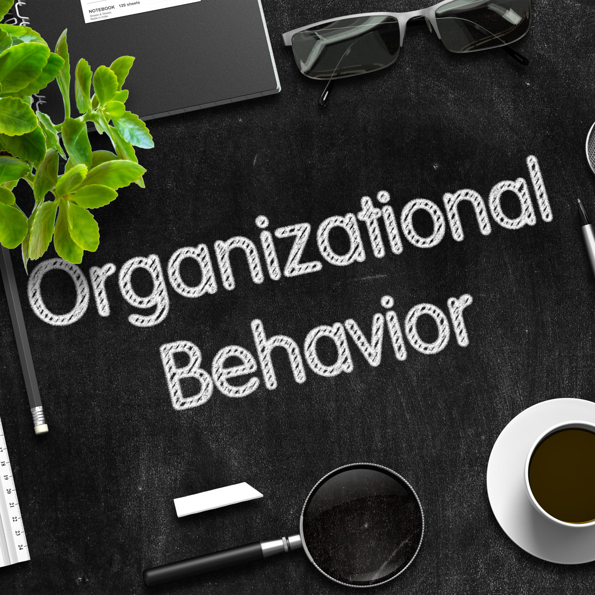 thesis topics for organizational behaviour